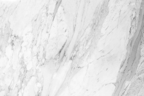 Pexels henry & co 2341290 (1)